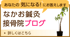 なかお鍼灸接骨院ブログ